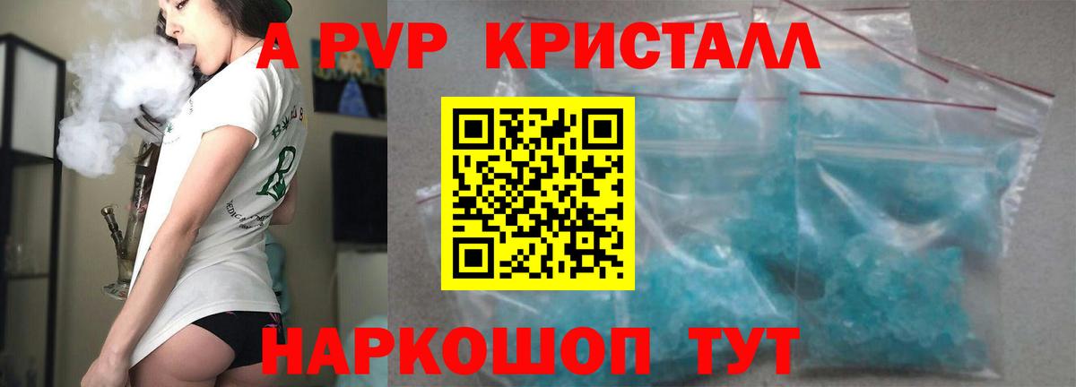 Можга  A PVP СК КРИС  Вход с VPN 