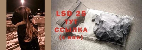 PSILOCYBIN Горнозаводск