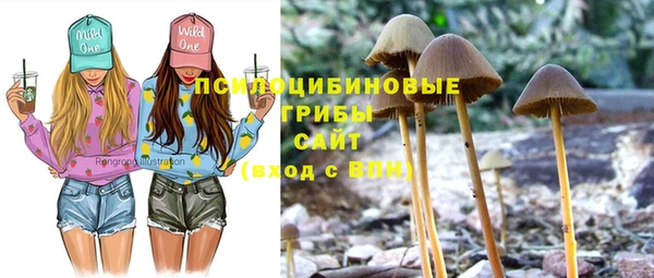 гидра Саяногорск