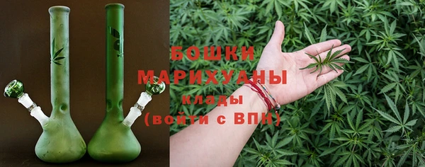 PSILOCYBIN Горнозаводск