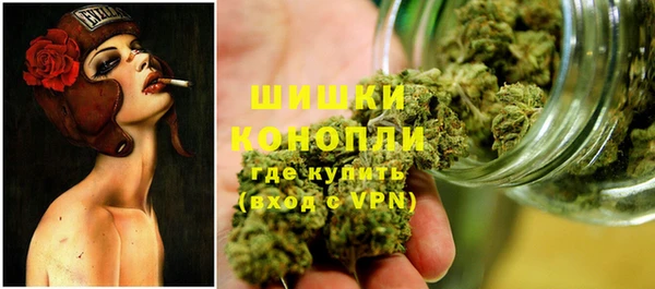 PSILOCYBIN Горнозаводск