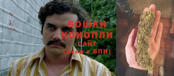 PSILOCYBIN Горнозаводск