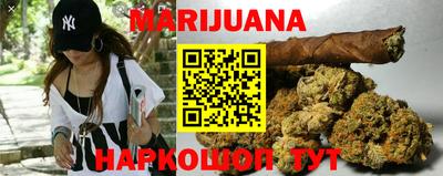шишки Жуковский