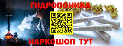 шишки Жуковский