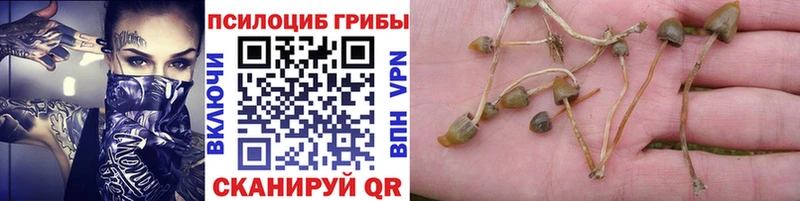 Псилоцибиновые грибы мухоморы МЕГА онион Можга