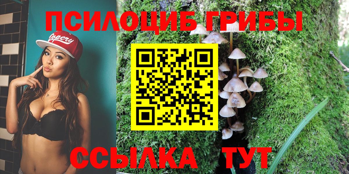 Галлюциногенные грибы Cubensis  Галлюциногенные грибы MAGIC MUSHROOMS  Можга 