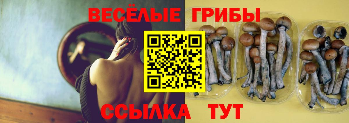 Галлюциногенные грибы ЛСД Можга